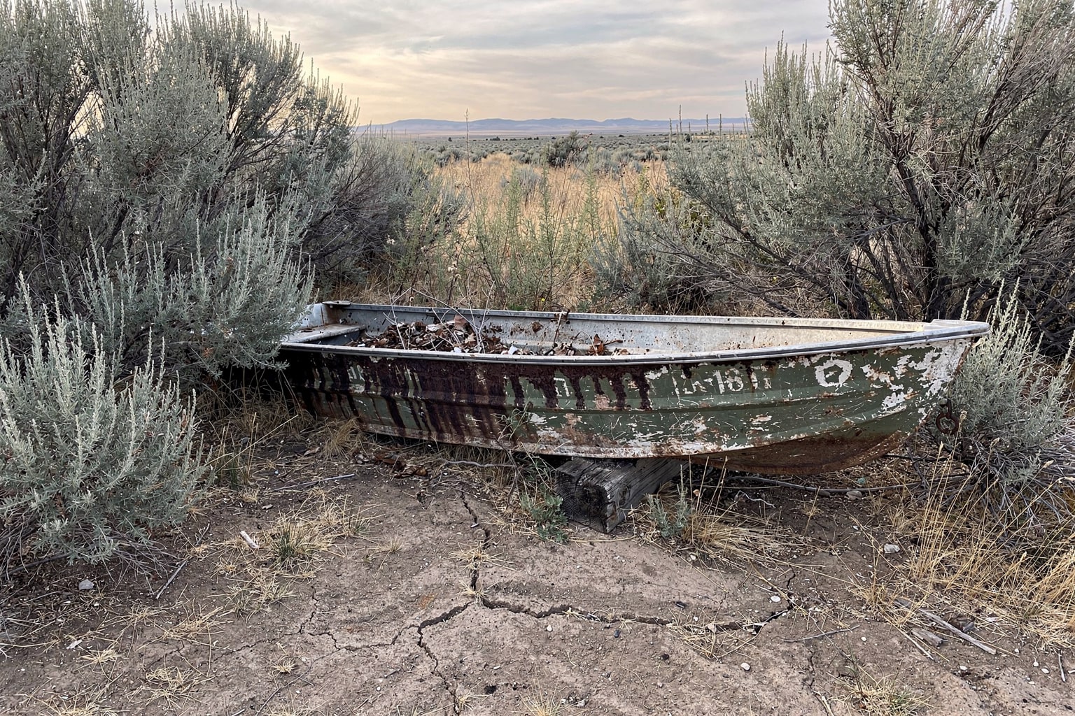 Abandoned deteriorated jon boat in overgrown Idaho property ready for salvage and junk boat disposal